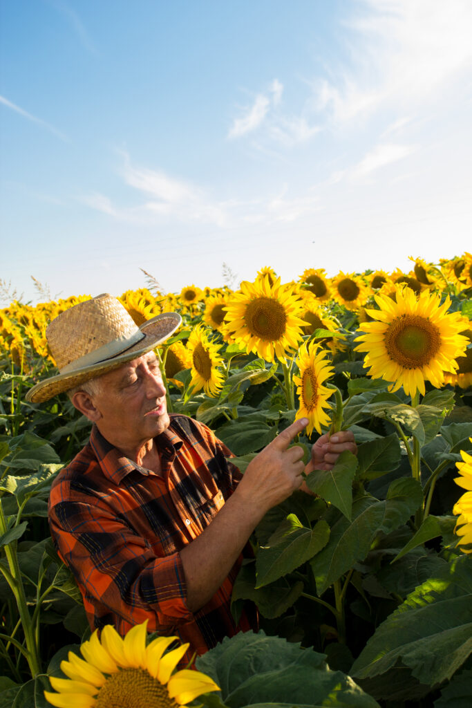 Optimizing Crop Health