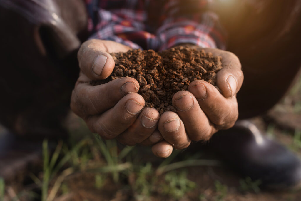 Agricultural Legacy