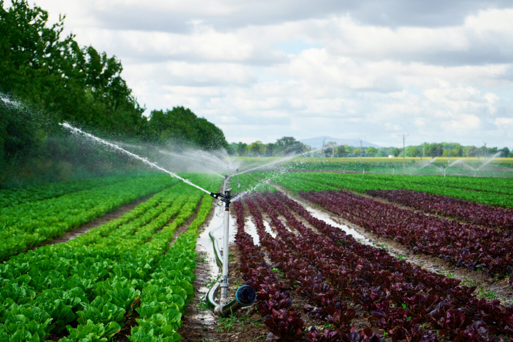 Innovative Agriculture Solutions